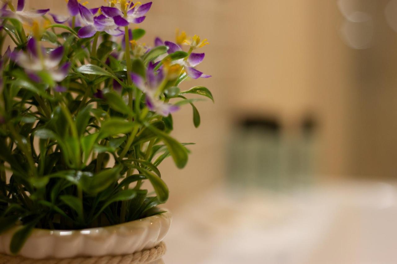 Suite Corallo - Smart Holiday Mantova Exterior foto